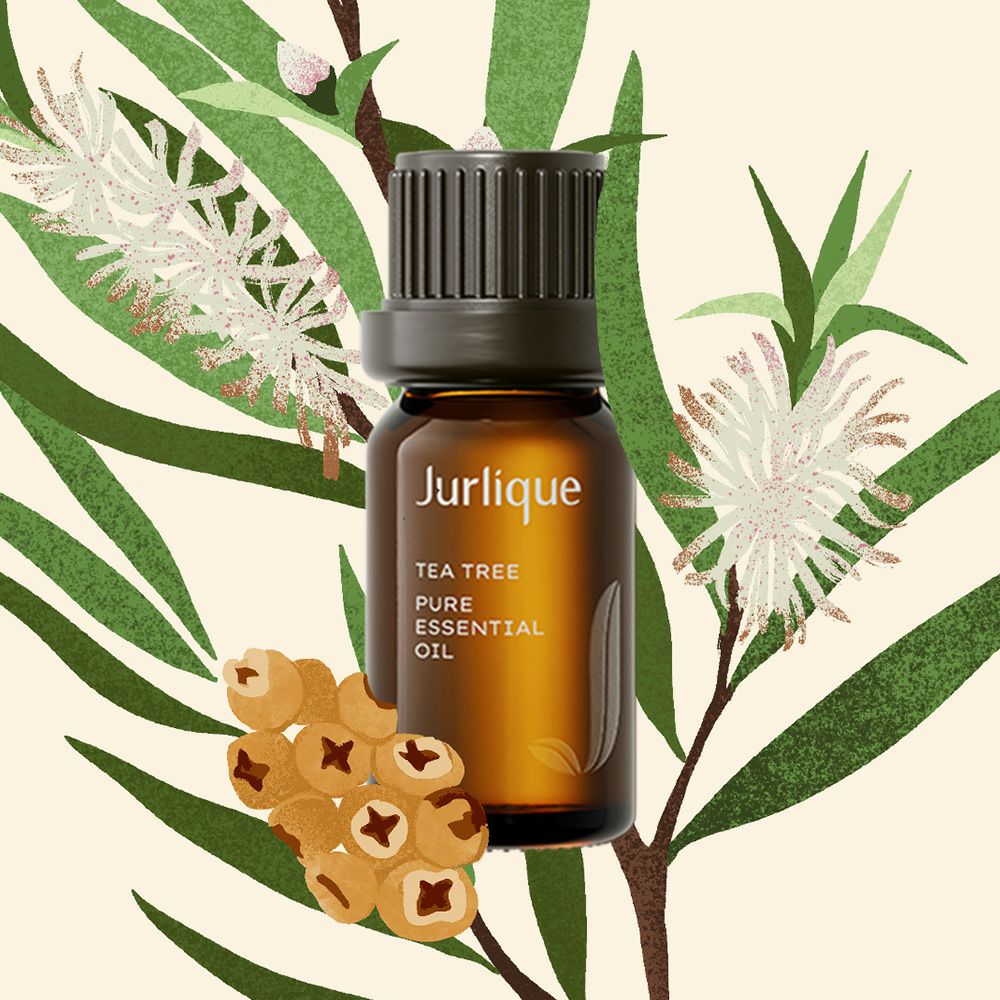 エッセンシャルオイル］ティートリー ピュアエッセンシャルオイル 10mL